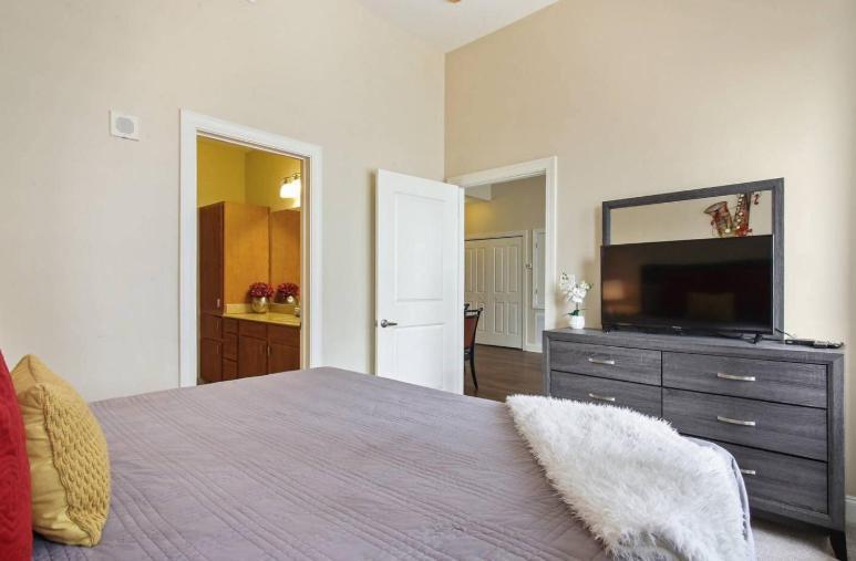 Amazing Condos Beautiful View 2 Blocks To French Quarter, Small Rooftop Pool, Gym, Seanger Theater, Super Dome, And Bourbon St New Orleans Dış mekan fotoğraf